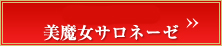 バシャール・美魔女サロネーゼ>>