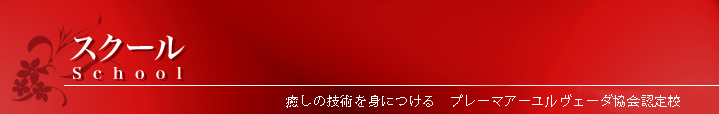 スクール School