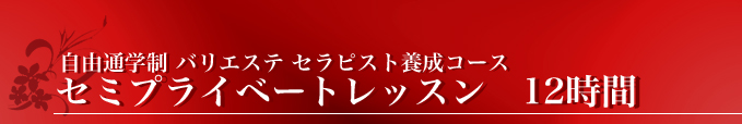 スクール セミプライベートレッスン