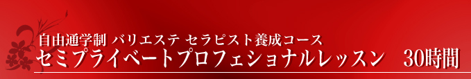 セミプライベートプロフェショナルレッスン